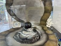 Insel Okinawa - Ishigaki - Japan: schwarze Perlen