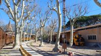 Bahnhof Soller.jpg