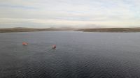 Mit Tenderbooten zu den Falklandinseln