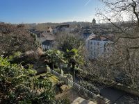 Sogar im Winter gibts hier Palmen