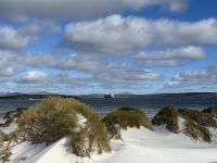 Ms Oosterdam in der Ferne