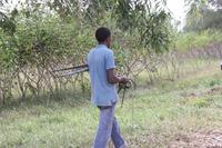 Neue Kunstwerke werden geschaffen