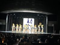 MS Westerdam Theater