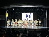 MS Westerdam Theater