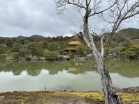 Kyoto - Gelände vom Goldenen Tempel