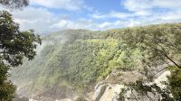 Daintree Rainforest, Cairns 