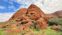 Ayers Rock, Outback 