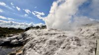 Geysir, Te Puia, Rotorua, NZ