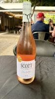 Allan Scott Weingut, Marlborough, NZ