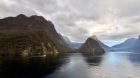 Milford Sound, Fiordland Nationalpark 