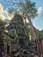 Ta-Prohm-Tempel -  „Tomb Raider Tempel“, Siem Reap, Kambodscha