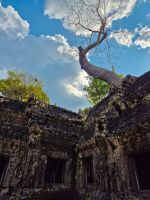 Ta-Prohm-Tempel -  „Tomb Raider Tempel“, Siem Reap, Kambodscha
