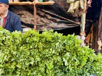 1. Tag - Frische Minze auf dem Djemaa el-Fnaa, Marrakesch 