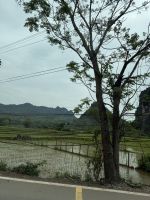 Mai Chau