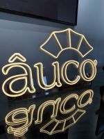 Auco unser Kreuzfahrtschiff