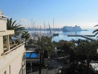 Palma