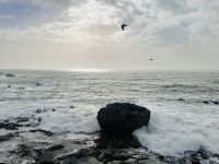 3. Tag - Blick von Essaouira auf den Atlantik 
