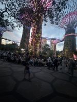 Lichhtshow bei den Supertrees (2)