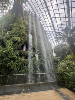 ...im Cloud Forest (3)