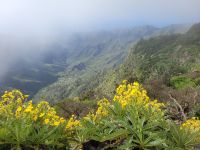 Wanderung zum Mirador del Morro de Agando/La Gomera/Kanaren