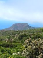 Blick zum Fortaleza/Garajonay Nationalpark/La Gomera/Kanaren