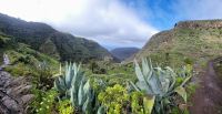 Barranco bei El Cercado/La Gomera/Kanaren
