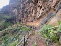 Barranco de Guarimiar/La Gomera/Kanaren