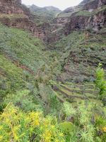 Barranco de Guarimiar/La Gomera/Kanaren
