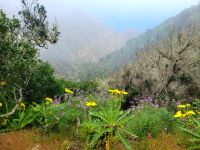 Wanderung von Las Rosas zum Mirador de Abrante/La Gomera/Kanaren