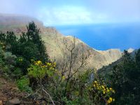 Wanderung von Las Rosas zum Mirador de Abrante/La Gomera/Kanaren