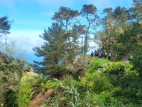 Wanderung von Las Rosas zum Mirador de Abrante/La Gomera/Kanaren