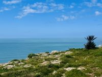 4. Tag - Fahrt von Essaouira nach Casablanca entlang der Atlantikküste