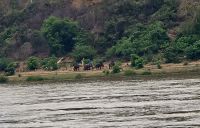 Mekong und Höhlentempel (7)