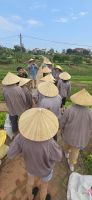 Vietnam ländlich (10)