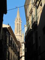 Palma