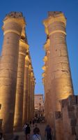 Luxor-Tempel by night