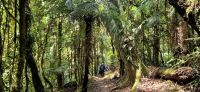 200 Wanderung