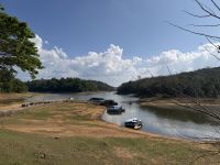 Periyar Wildlife Sanctuary, Cardamom Hills