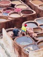 7. Tag - Besuch der Chouara-Gerberei, Fès