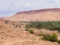 8. Tag - Ziz-Schlucht mit ihren Dattelpalmen