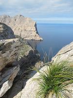 Halbinsel Formentor