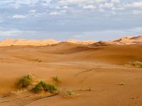 8. Tag - Erg Chebbi - Sanddünenlandschaft