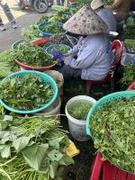 Marktbesuch in Hué