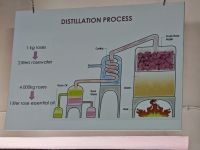 Besichtigung Rosenmanufaktur in Agros, Zypern
