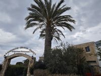 Hotelanlage in Latchi, Zypern