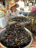 Marktstand - frittierte Spinnen