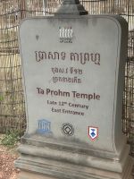 Ta Prohm - Tempel mit Würgefeigenbäumen 