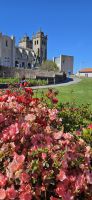 Porto, Kathedrale