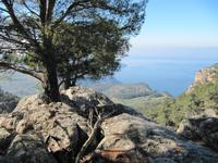 Toller Blick aufs Meer