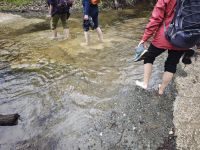 Bachdurchquerung auf dem Gialia Nature Trail bei Gialia, Zypern